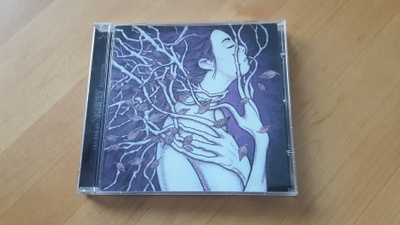 Weightless World - The End Of Beginning (CD)