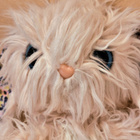 Scruff A Luvs pehmolelu - pikkukuva 3