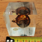 Shell mainos ( north sea oil ) - pikkukuva 4