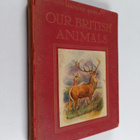 Arthur O. Cooke : Our british animals - pikkukuva 1