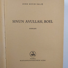 Sven Edvin Salje : Sinun avullasi, Boel - pikkukuva 3