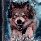 SONATA ARCTICA FOR THE SAKE OF REVENGE - pikkukuva 1