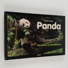 Heather Angel : Panda : rakastettu ja uhanalainen - pikkukuva 1