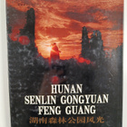 Hunan senlin gongyan feng guang - pikkukuva 2