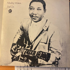MUDDY WATERS: Sail On * USA 1969 - pikkukuva 1
