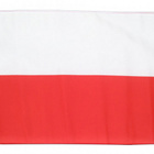Lippu, 90x150cm, polyesteri, eri maita vaihtoehtoina *UUSI* - pikkukuva 5