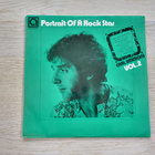 Carl Simmons – Portrait Of A Rock Star Vol. 2 (LP) - pikkukuva 1