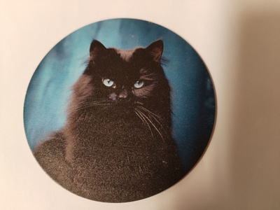 Kissa jääkaappi magneetti.