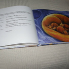 Pikkupeikko ja Kuu - pikkukuva 4