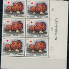 1974 PR nro-6lo ++ - pikkukuva 1