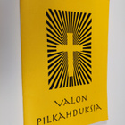 Raija Salmi : Valonpilkahduksia - Valon pilkahduksia - pikkukuva 1