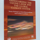 IPCC/TEAP special report on safeguarding the ozone layer ... - pikkukuva 1