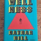 Nathan Hill: Wellness - pikkukuva 1