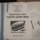 Youth Gone Mad 7 45 feat Joey Ramone Cheetah Chrome Ramones - pikkukuva 1