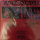 THE LAZY COWGIRLS - RADIO COWGIRL M-/EX+ LP - pikkukuva 2