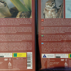 SAFARI 3 LIZARDS - pikkukuva 4