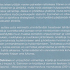 Jari Salminen: Uuden esimiehen kirja - pikkukuva 3
