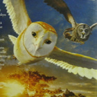 LEGENDA SUOJELIJOISTA - GA`HOOLEN PÖLLÖT DVD - pikkukuva 3
