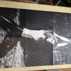 VAN HALEN - Women And Children First LP - pikkukuva 3