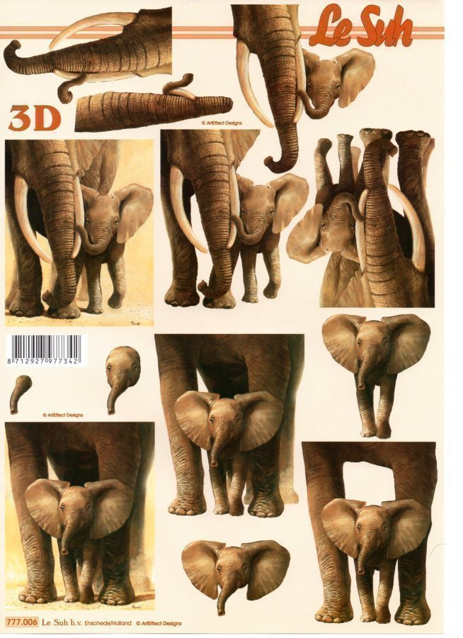 3D °°ELEFANTTI & POIKANEN°° / Le Suh