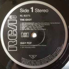 IGGY POP - The Idiot v.1977 - pikkukuva 3
