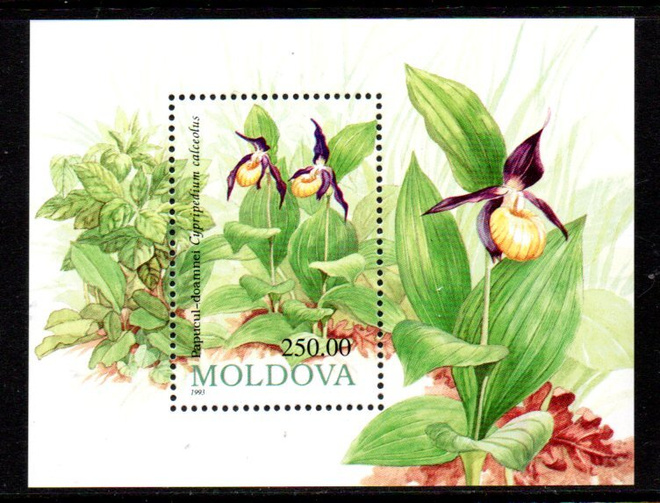 Moldova