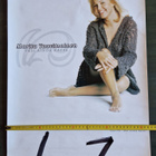 Marita Taavitsainen keikkajuliste 59. 60×42cm - pikkukuva 2