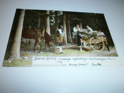 Rättvik, Dalarne, hevoskärrymatkalla tauko metsässä, p. 1902