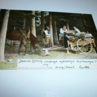 Rättvik, Dalarne, hevoskärrymatkalla tauko metsässä, p. 1902 - pikkukuva 1