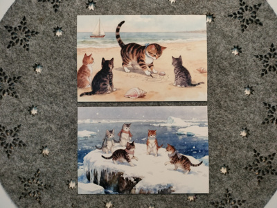 ~Kissa kortti~ 2kpl