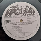J.KARJALAINEN JA MUSTAT LASIT : KOOKOSPÄHKINÄKITARA  LP - pikkukuva 3