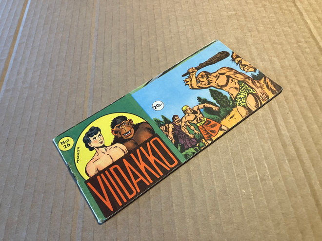 VIIDAKKO LIUSKA 26/1955