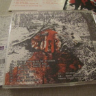White Stripes white blood cells cd obi japani 2002 bonus - pikkukuva 2