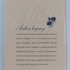 Aino Tuloisela : Äidin hymy - pikkukuva 2