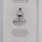 Nicholas Ribush : Teachings from Tibet - Guidance from Gr... - pikkukuva 2