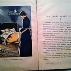 Hannula Helli: Nokinutun tarinoita, v. 1937 - pikkukuva 4