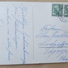 Kimppu punaisia tulppaaneja, p. 1946 (?) - pikkukuva 2