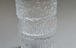 Paadar viskilasi 2 kpl, Tapio Wirkkala, Iittala