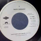 BOY KRAZY :: THAT'S WHAT LOVE CAN DO :: VINYYLI 1991  RARE - pikkukuva 3