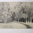 VANHA Postikortti Oulu HUIPPUKUNTO 1900-luku - pikkukuva 1