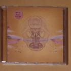 Devendra Banhart: What Will We Be - pikkukuva 1