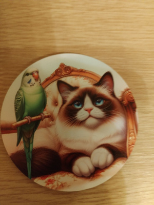 Suloinen jääkaappi magneetti.