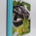 Elina Kynsijärvi : Liituri (signeerattu) - pikkukuva 1