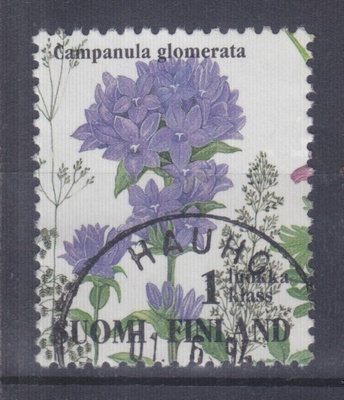 1994 ketokukkiavihosta loistoleimaisena 1