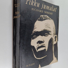 Richard Wright : Pikku jumalat : romaani Amerikan mustist... - pikkukuva 1