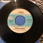 JAMMU & THE MONSTERS: Jammu! Jammu! *  Jammin’ All Over - pikkukuva 1
