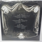 FESTERDAY - THE FOUR STAGES OF DECOMPOSITION M-/M- 3LP - pikkukuva 2