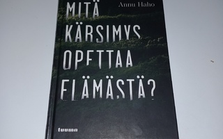 Mitä kärsimys opettaa elämästä? - Annu Haho