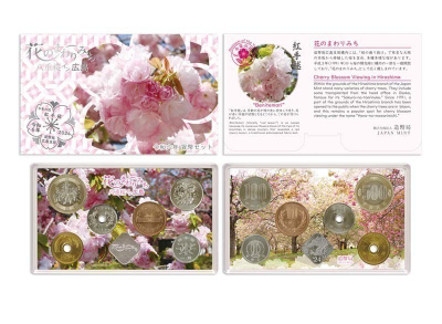 JAPANI Rahasarja 2024 BU Cherry Blossom in Hiroshima