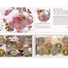 JAPANI Rahasarja 2024 BU Cherry Blossom in Hiroshima - pikkukuva 1